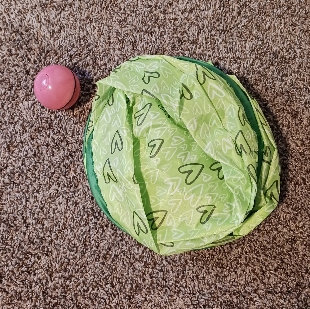Interactive Cat Toy